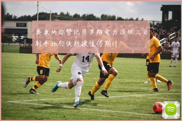 奥康纳称赞比贝罗维奇为顶级三分射手独行侠新援值得期待